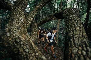 BIB: 
                            <button type="button" onclick="openModal(25392740)" class="btn btn-primary btn-sm float-right btn-popup" data-toggle="modal" data-target=".modal-high-quality">
                        <i class="fas fa-shopping-cart"></i> Add to Cart
                    </button>
                                            <button type="button" onclick="isThisMe(25392740, true)" class="btn btn-success btn-sm float-right btn-popup btn-isme hidden" data-toggle="tooltip" data-placement="bottom" title="นี่คือรูปของคุณใช่ไหม คลิกที่นี่เพื่อเอาเข้าอัลบั้ม">
                        <i class="fas fa-plus"></i> Add to album
                    </button>
                    <button type="button" onclick="isThisMe(25392740, false)" class="btn btn-warning btn-sm float-right btn-popup btn-isnotme hidden">
                        <i class="fas fa-ban"></i> Remove from album
                    </button>